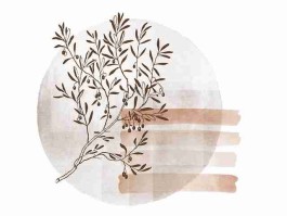 麻豆网节奏剖析视觉焕新2023.03.18速报惊喜升级