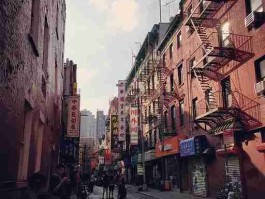 每日大赛在线观看最新盘点：周末特辑王者对决
